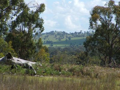 Red Hill Road, Stannum