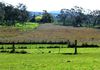 Lot 42, 46 Forest Road, Orange