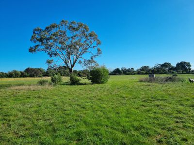 Lot 5, Boandik Drive, Millicent