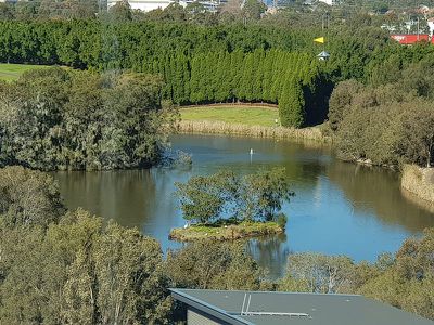 402 / 1 Brushbox Street, Sydney Olympic Park