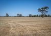 000 Golf Course Road, Dimboola