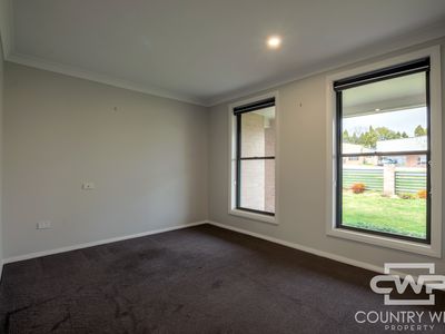 104 Ferguson Street, Glen Innes