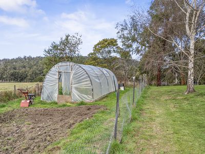 50 Cairns Road, Surges Bay