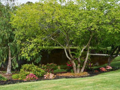 45 Bromfield Drive, Barwite