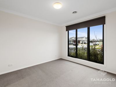 15 Cisticola Street, Narre Warren