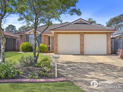 36 Kinchega Court, Wattle Grove