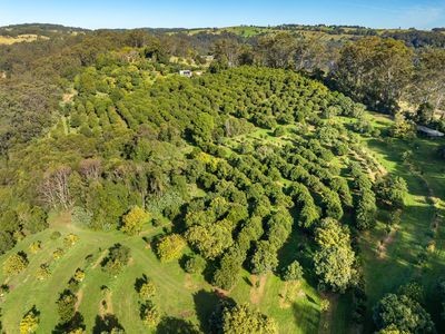 480 Ponsfords Road, Comboyne