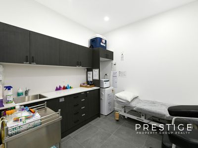 119 Wollongong Road, Arncliffe