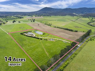 257 Barringo Road, New Gisborne