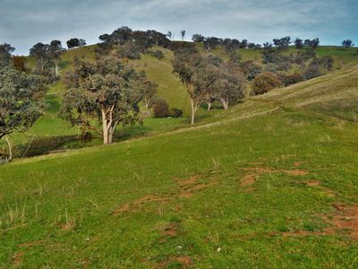 The Block - Packers Road, Bethanga