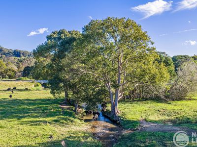 5644 Tweed Valley Way, Crabbes Creek