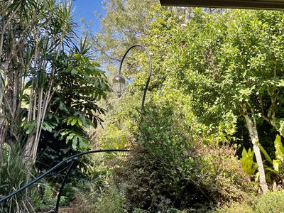 14-16 Nimbin Street, The Channon