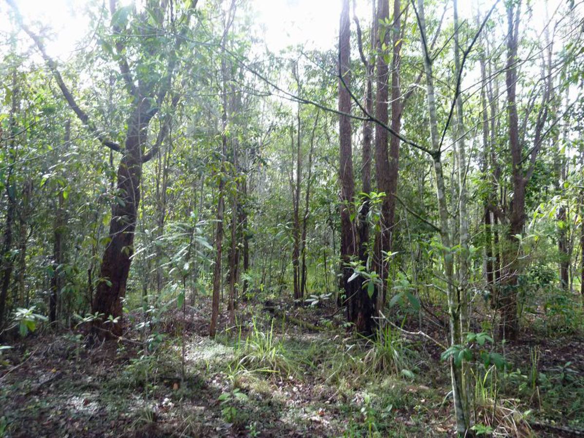 Yungaburra