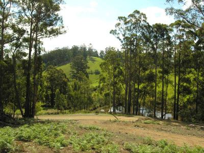 140 Coalmine Road, Gardners Bay