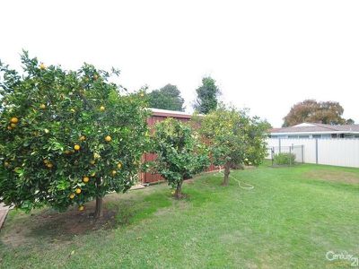 93 Myall Street, Dubbo