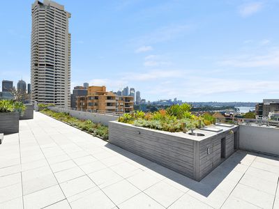 603 / 221 Darlinghurst Road, Darlinghurst