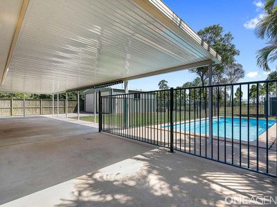 66 Ibis Boulevard, Eli Waters