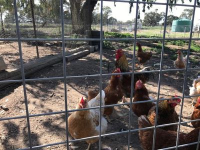 3935 Rangemore Road, Barham