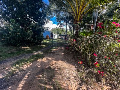 887 Endeavour Valley Road, Cooktown