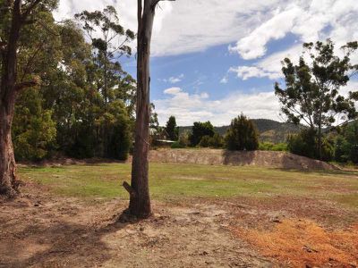 944 Cygnet Coast Road, Lower Wattle Grove