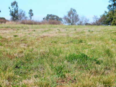 33 Collins Street, Merriwa