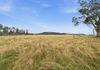 820 Ellendale Road, Ellendale