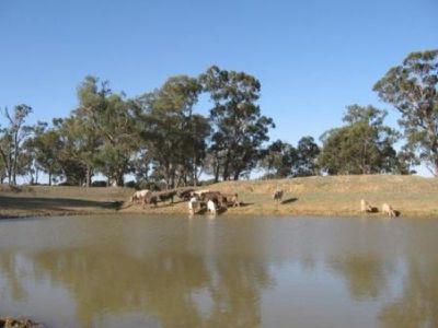 Back Walbundrie-Rand Road, Rand