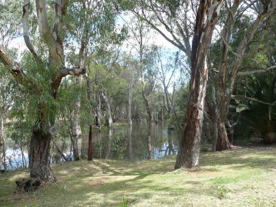 Lot 3 North Barham Road, Barham