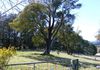 353 Giles Road, Springside, Orange