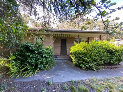 135 Briody Drive, Torquay