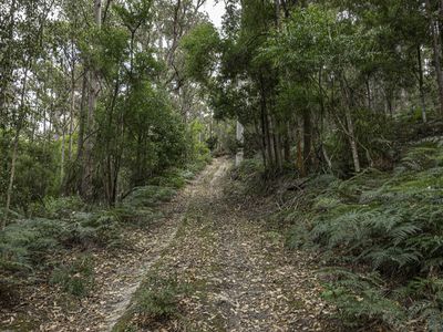 Lot 2, Fyfes Road, Mountain River