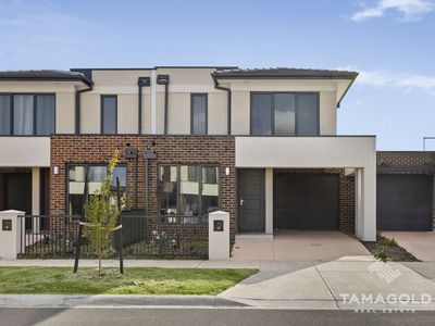 13 Loosestrife Street, Narre Warren