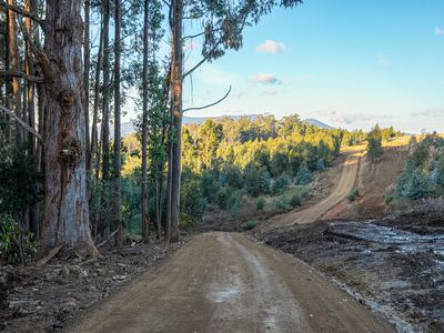 Lot 6 off Paddys Lane, Franklin