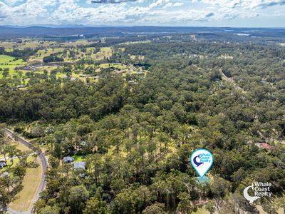 45 Lyrebird Place, Bodalla