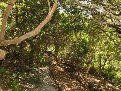 2 / 12 Plover Street, Peregian Beach