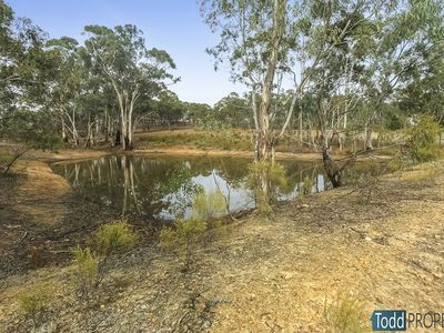 39 Reynolds Court, Graytown
