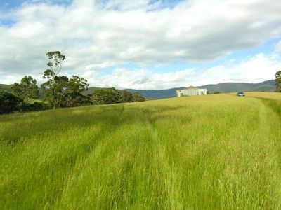 Sheoak Road, Judbury
