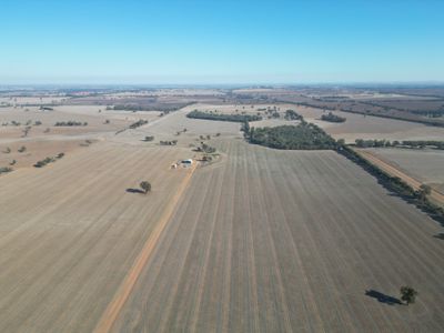 1501 Howlong-Goombargana Road, Brocklesby