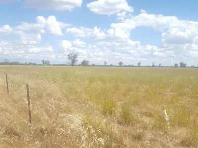 6897 Riverina Highway, Hopefield