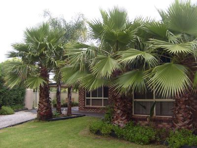 27 Pegasus Place, Dubbo