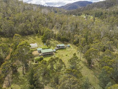 61 Turn Creek Road, Grove