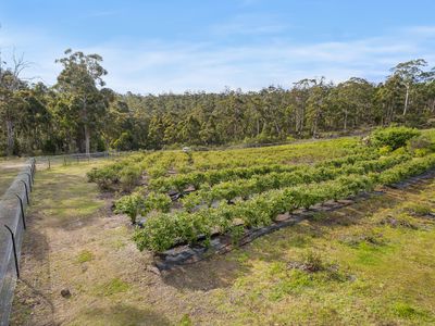 215 Scarrs Road, Garden Island Creek