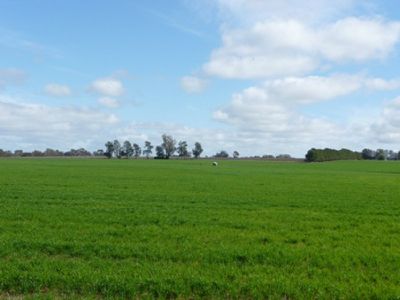Wahgunyah-Rutherglen Road, Wahgunyah