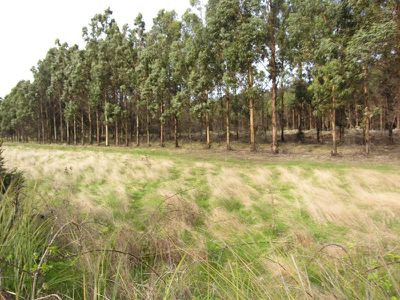 Lot 2A Lonnavale Road, Lonnavale