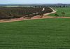 'Kamdarley' & 'King View', Hyden
