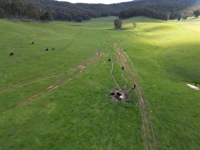 'Eastmore' 1177 Callaghan Creek Road, Mitta Mitta