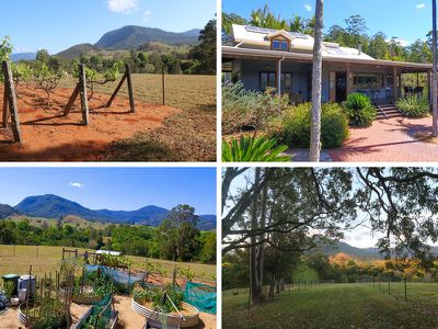 46 Blade Road, Nimbin