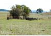 Lot 100 Emu Swamp Road, Orange