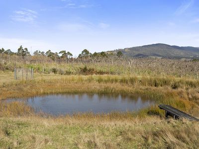 31 Longleys Road, Huonville