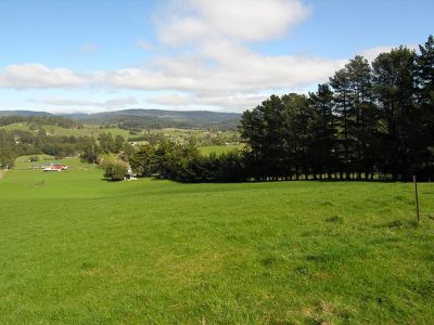 Gans Lane, Geeveston